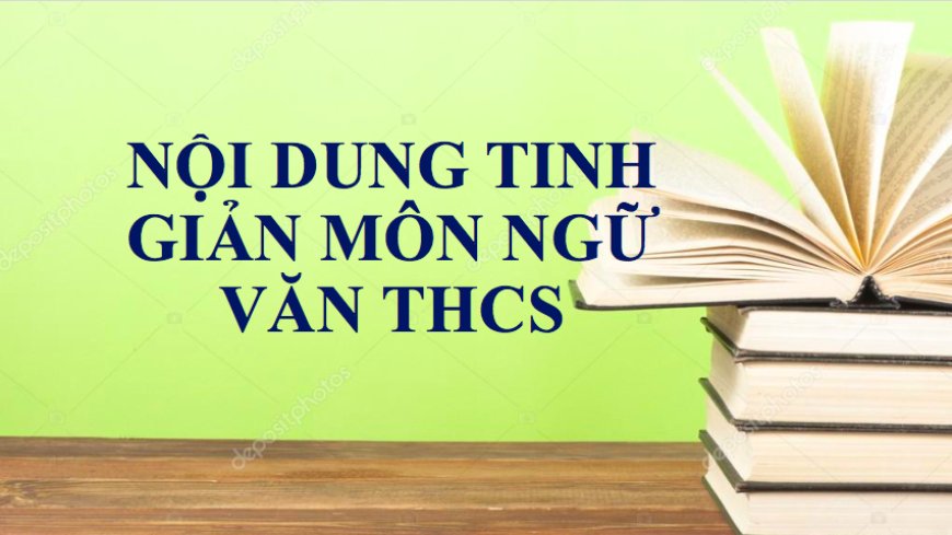 TINH GIẢN CHƯƠNG TRÌNH NGỮ VĂN THCS – Trường THCS Đào Duy Từ Hà Nội