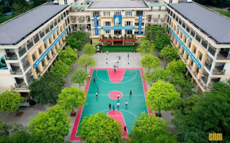 5 Trường THCS công lập xuất sắc tại huyện Thanh Trì - Hà Nội